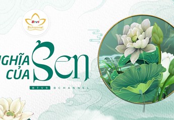 Ý nghĩa hoa Sen trong Phật giáo và trong cuộc sống người Việt