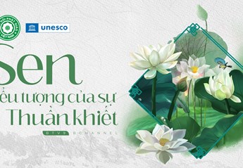 Thuần Khiết Là Gì? Loài Hoa Tượng Trưng Vẻ Đẹp Tinh Khôi